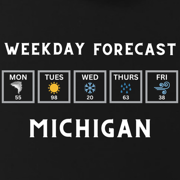 T-Shirt: Michigan Weather Forecast-H.Black: X-Large