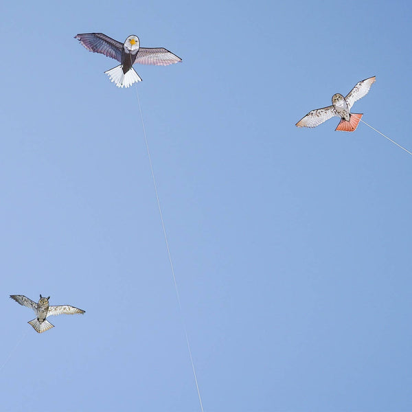 70" Bald Eagle Kite