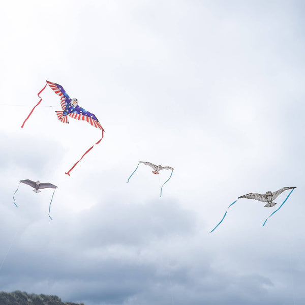 40" Bald Eagle Bitty Bird Kite