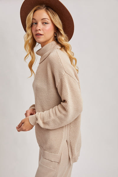Turtle Neck Knit Sweater