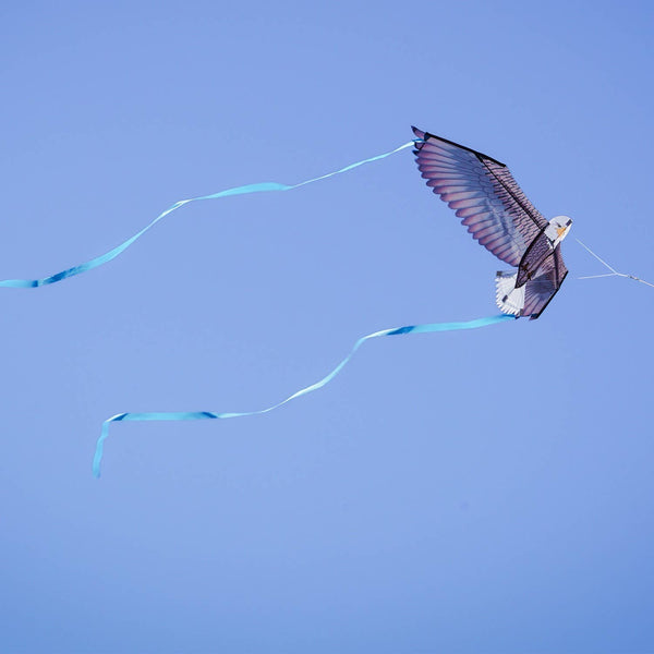 40" Bald Eagle Bitty Bird Kite