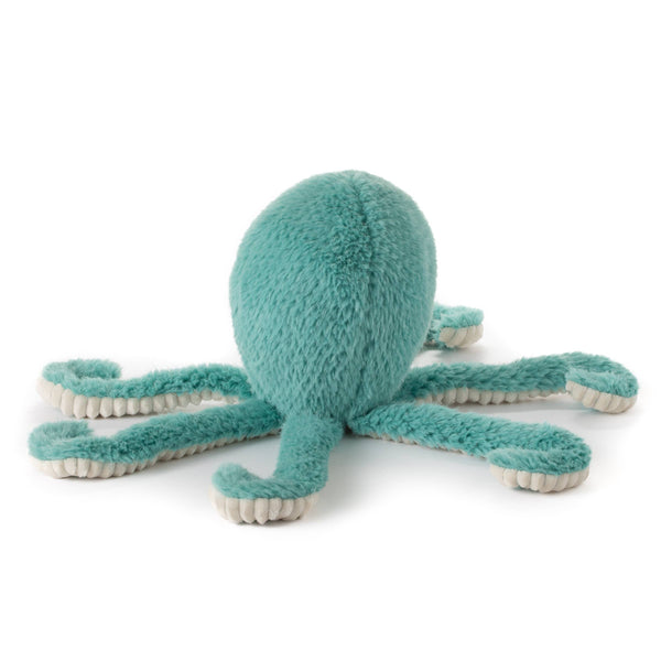 ZOO  Sea Fuzzlez Octopus
