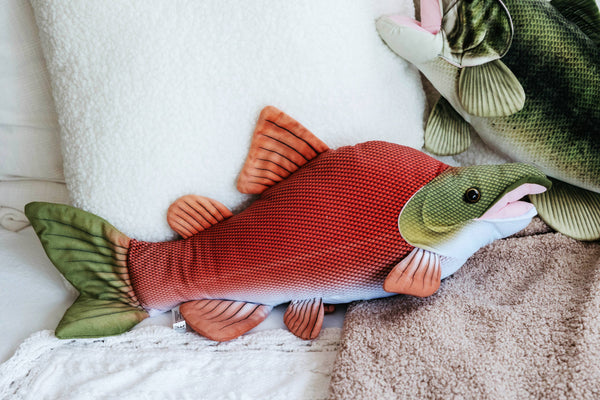 ZOO  Sockeye Salmon