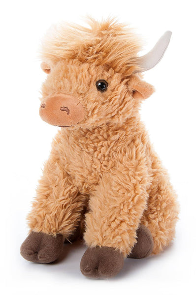 ZOO  Highland Cow