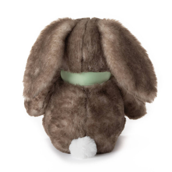 ZOO Spring Sitting Bunny Rabbit