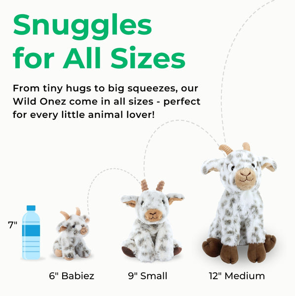 ZOO Wild Onez Hedgehog