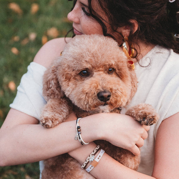 "Paws" Natural Hues with Silver and Paw Accents Hair Tie Bracelet: Medium