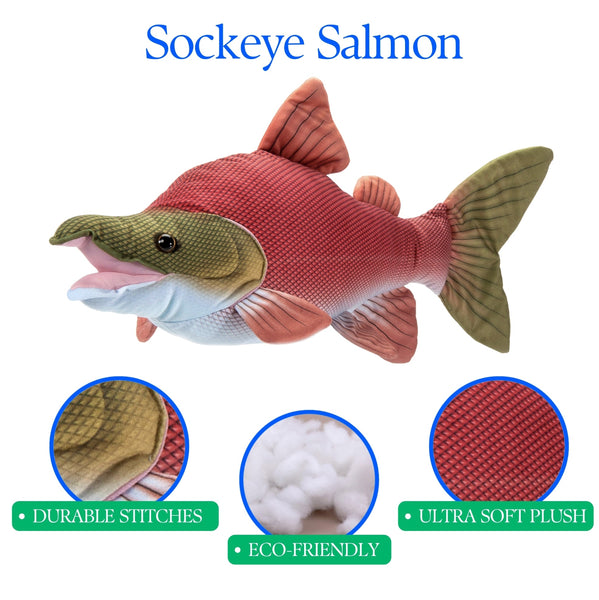 ZOO  Sockeye Salmon