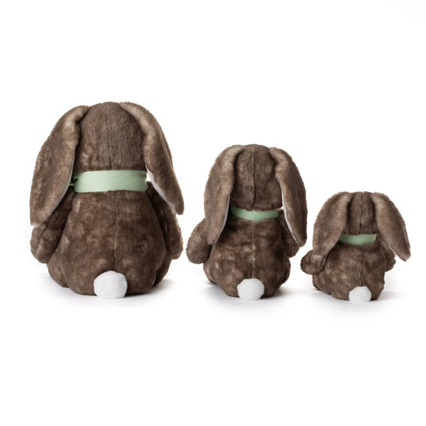 ZOO Spring Sitting Bunny Rabbit