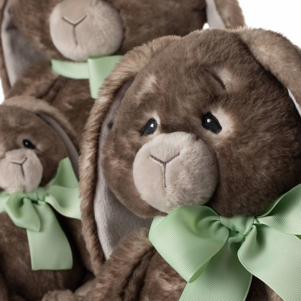 ZOO Spring Sitting Bunny Rabbit