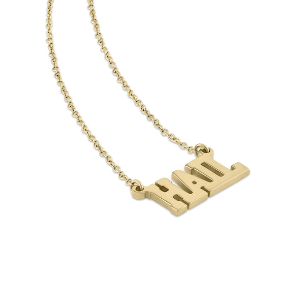 SA Michigan HAIL Necklace